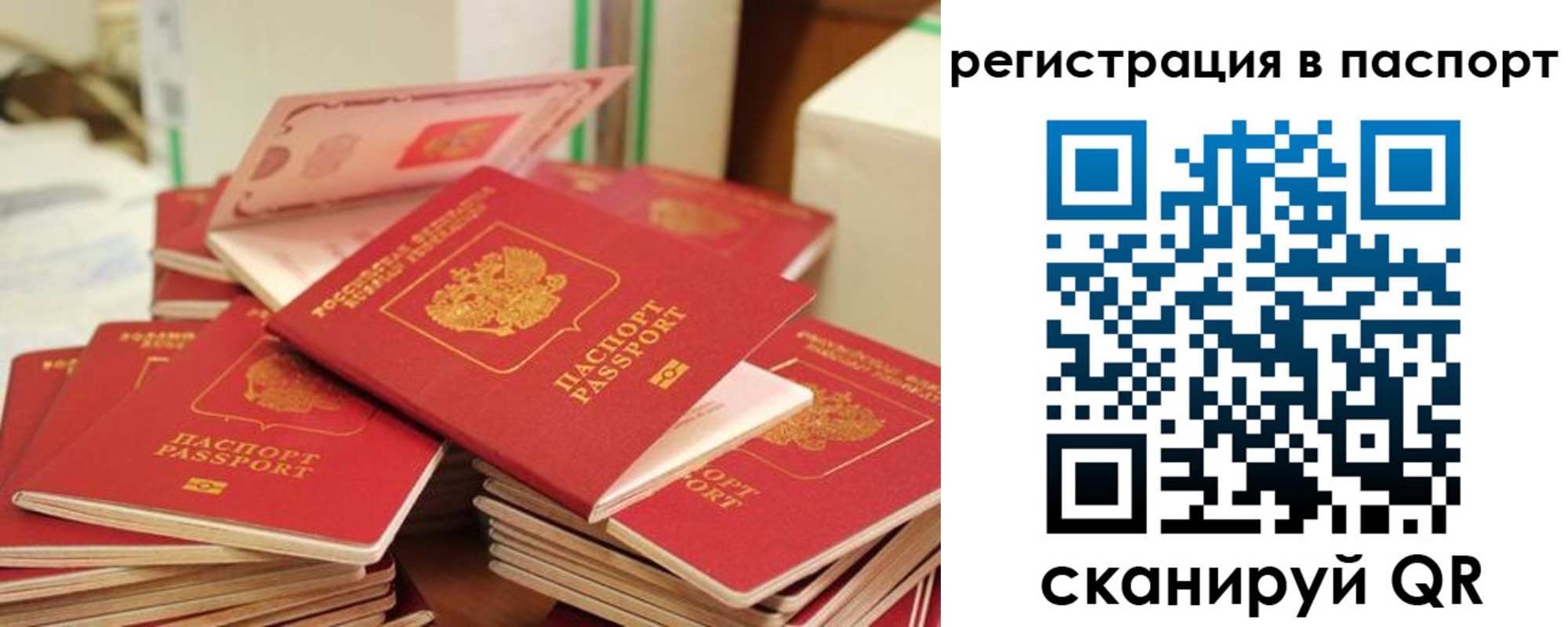 регистрация для школы в Волхове